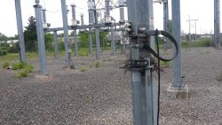 verstecktes vogelnest im umspann