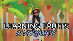 vietnamesisch lernen mit musikal