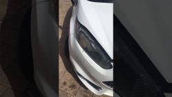 vogel im scheinwerfer im auto