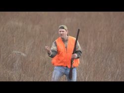 vogel mit der hand fangen