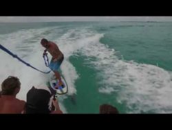 wakesurfing mit den delfinen zus