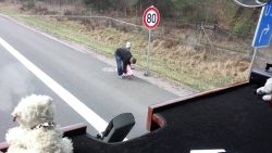 warndreieck vs dummheit