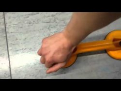 was fuer eine ratte im boden