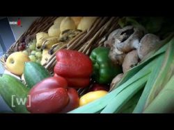 was passiert wenn lebensmittel g