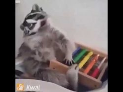 Waschbär rechnet mit Rechenschieber waschbaer rechnet mit rechenschi