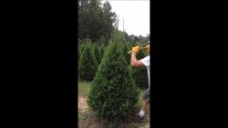 weihnachtsbaum trimmer