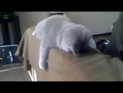 wenn der akku bei 0 ist