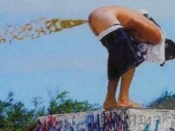 Wenn der Elefant so richtig am Scheißen ist wenn der elefant so richtig am s