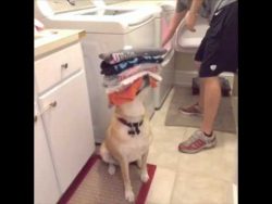 wenn du eine helfende hand oder