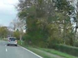 wenn ein baum auf die strasse fa