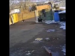 wenn einfach nicht dein tag ist