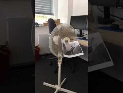 Wenn es mal wieder zu heiß wird im Büro wenn es mal wieder zu heiss wird