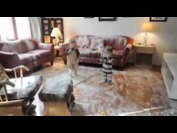 Wenn man Kindern Mehl gibt wenn man kindern mehl gibt