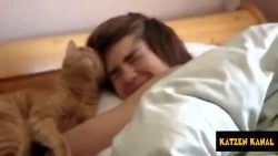 wenn uns katzen morgens aufwecke