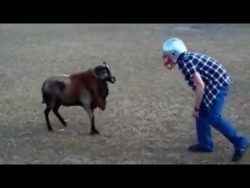 wer von beiden hat den groessere