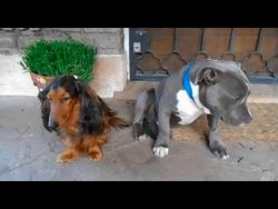 wer von euch beiden war das