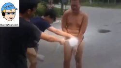 wie sich feuerameisen im schritt