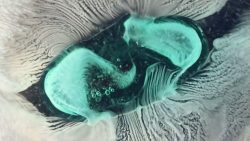 wie sich tabletten im wasser auf