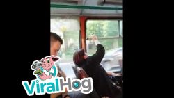 window war fenster auf und zu im