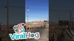 Wir singen dann mal bei der Armee wir singen dann mal bei der arme