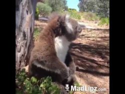 wo ist das wochenende hin