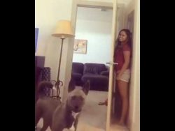 Wo ist denn nur mein Frauchen geblieben wo ist denn nur mein frauchen ge