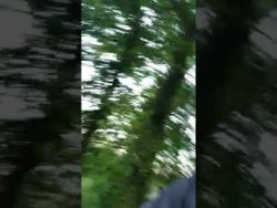 wochenende saufen und mofa fahre