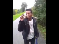 Wow eine Kastanie auf der Straße wow eine kastanie auf der strass