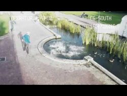 you cant even text and walk