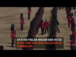 Zu lange Spalier gestanden zu lange spalier gestanden