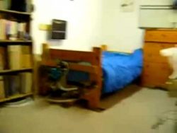 zu lauter wecker fuer dich und d