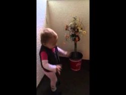 zwillinge beim synchron niesen