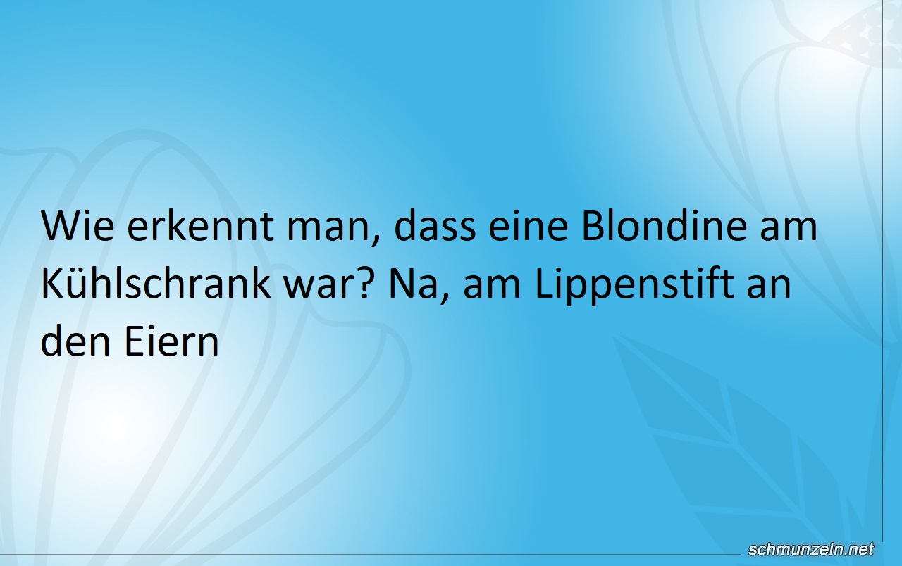 blondine kuehlschrank