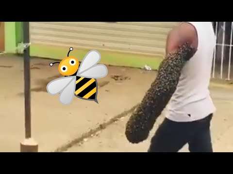 Typ mit einem Haufen Bienen am Arm bienen arm
