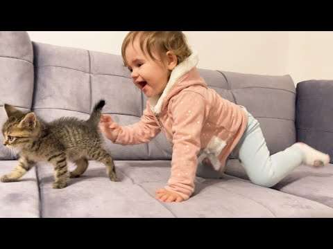 kleinkind katzenbaby