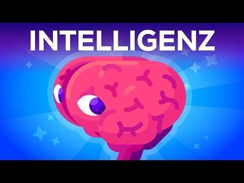 intelligenz was