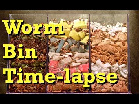 regenwurm kompost