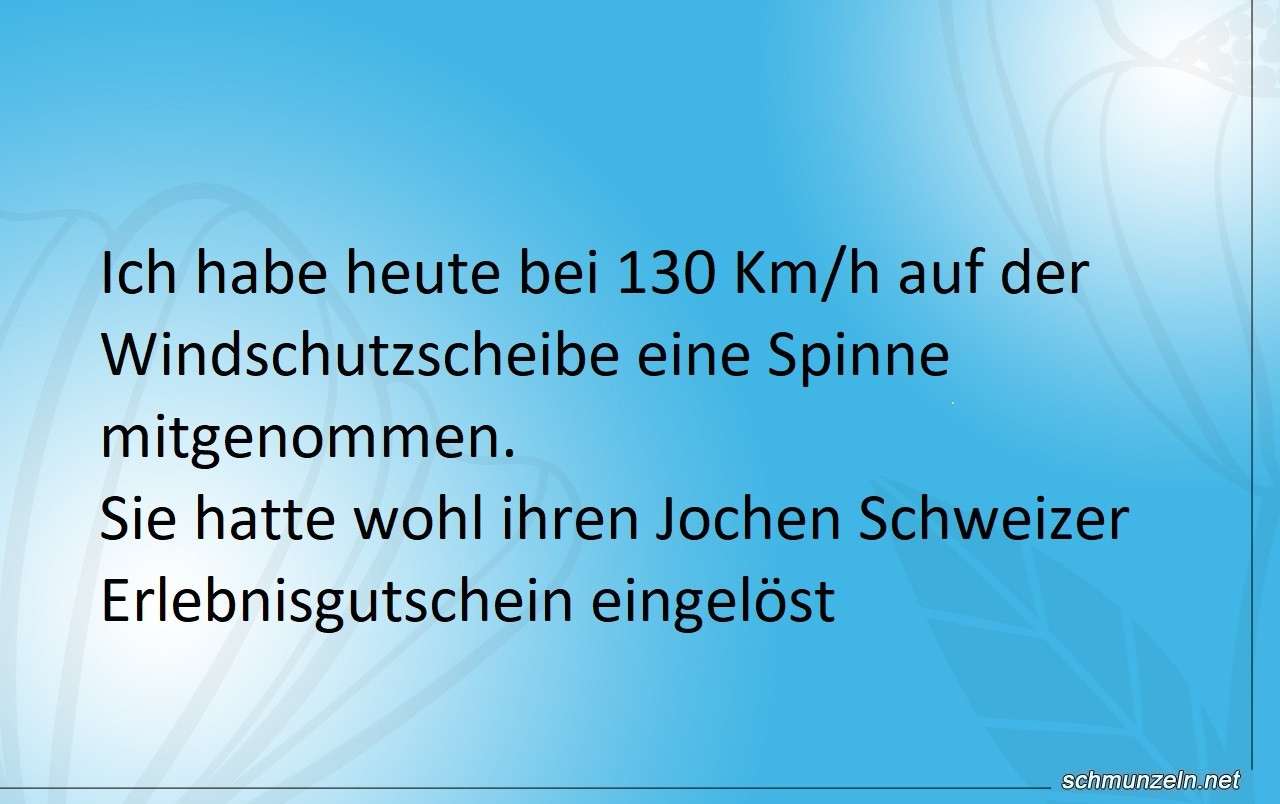 spinne erlebnisgutschein