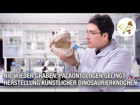 Paläontologen gelingt Herstellung künstlicher Dinosaurierknochen dino knochen
