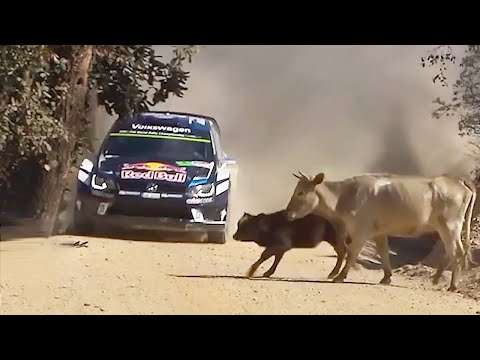 20 FUNNIEST RALLY MOMENTS rally momente