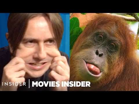 How Sounds Are Faked For Nature Documentaries | Movies Insider sound fake