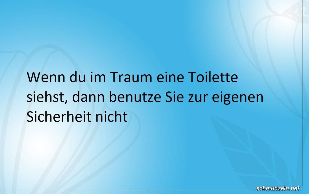 toiletten traum