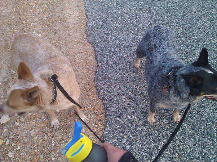 Picdump 051 13