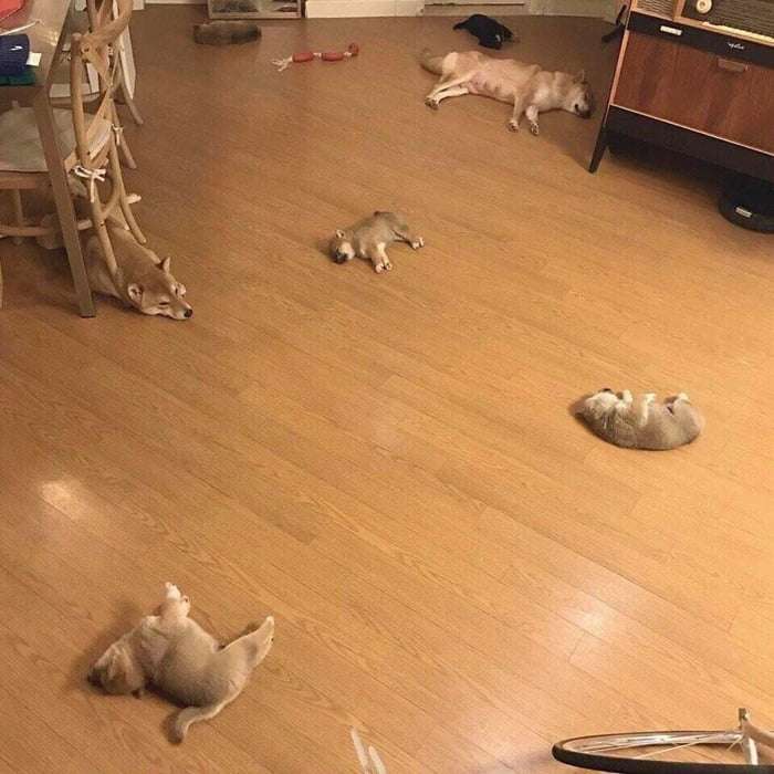 Picdump 051 6