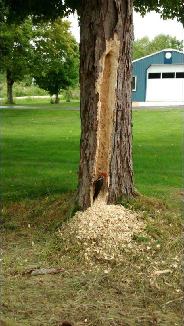 Picdump 051 8