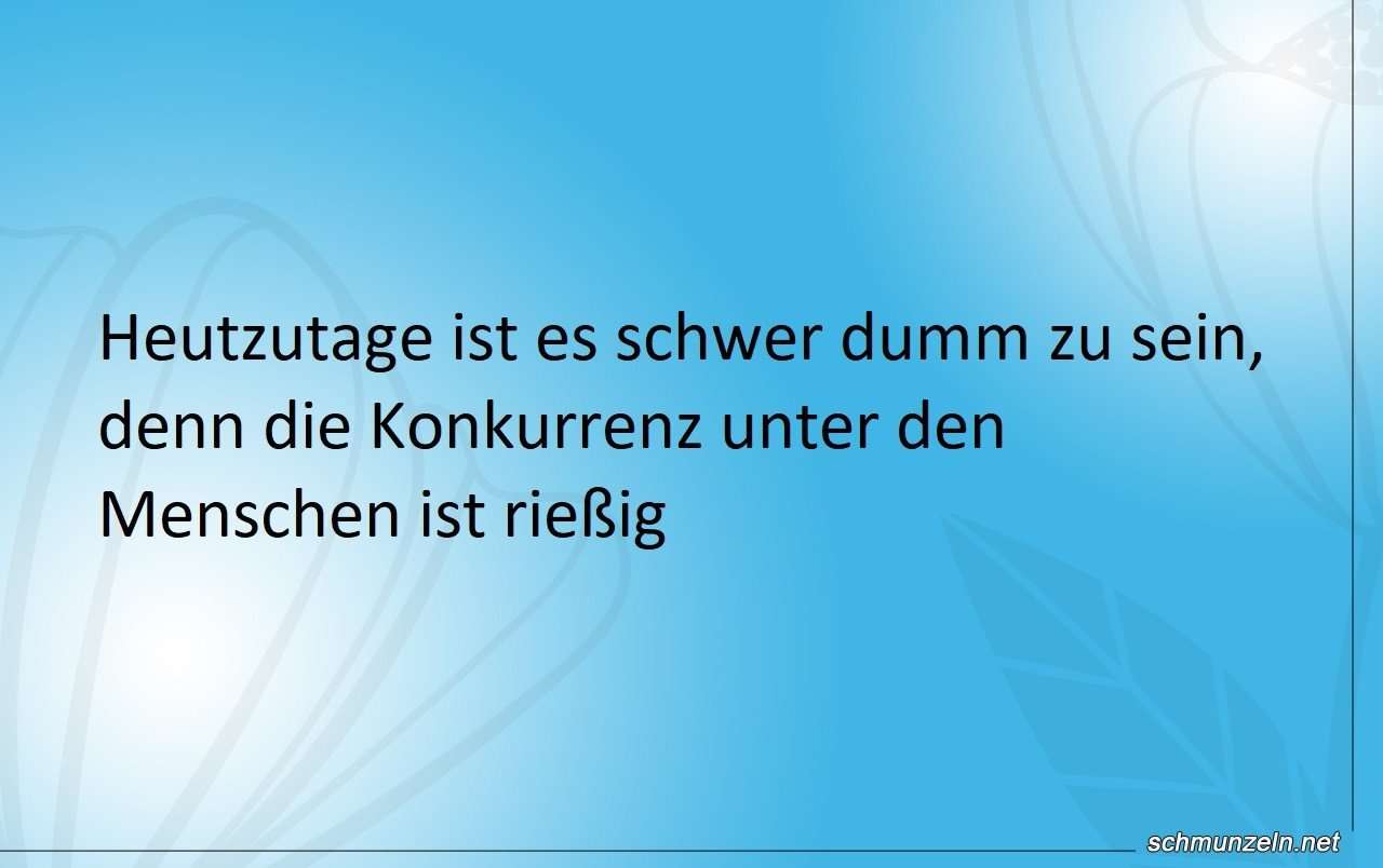 Dummheit unter Menschen hat große Konkurrenz dumme menschen