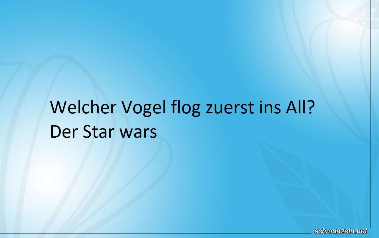 Welcher Vogel flog zuerst ins All? vogel weltall