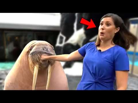 nachrichtensprecher fail