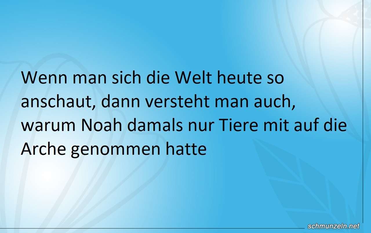 Warum nahm Noah nur Tiere mit auf die Arche arche tiere
