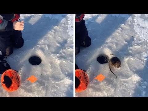 Fischen im Winter im zugefrorenen See fischen see